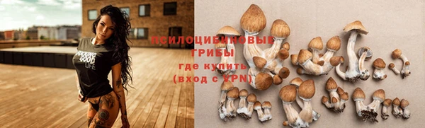гашишное масло Богданович