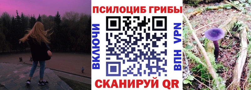 как найти закладки  Елизаветинская  Галлюциногенные грибы мицелий 