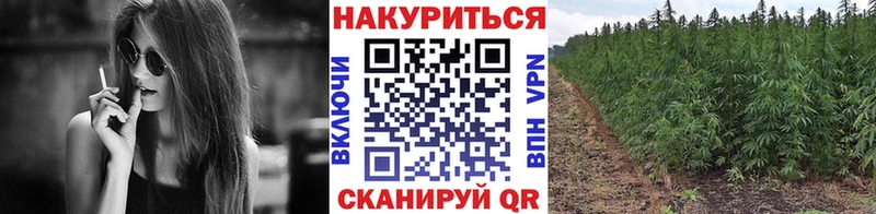 Марихуана Bruce Banner Елизаветинская